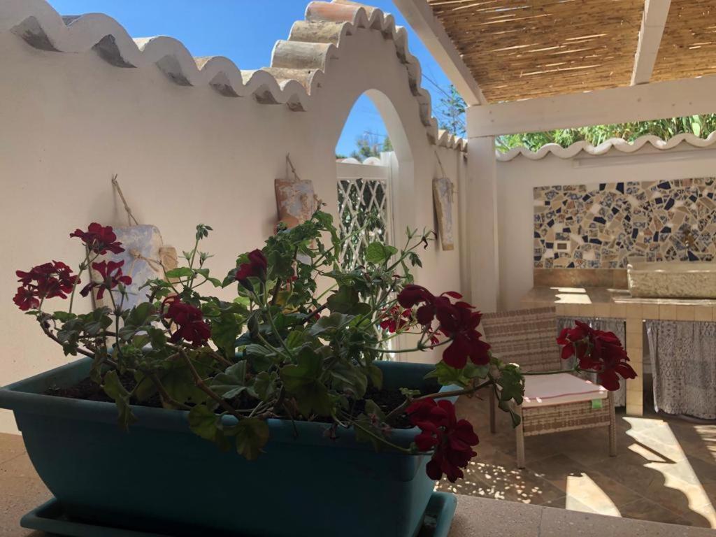 Cala Marina Holidays Trappeto (Sicily) Exterior foto